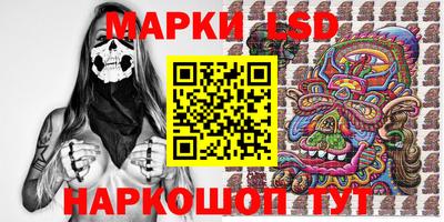 гидропоника Краснознаменск