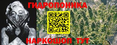 стафф Краснодар